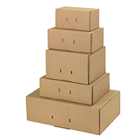 Boîte postale carton standar